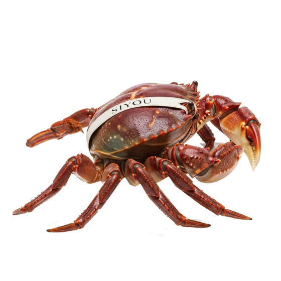 Crab